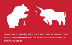 Bull and Bear Markets US