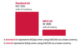 Example of standard lot vs mini lot